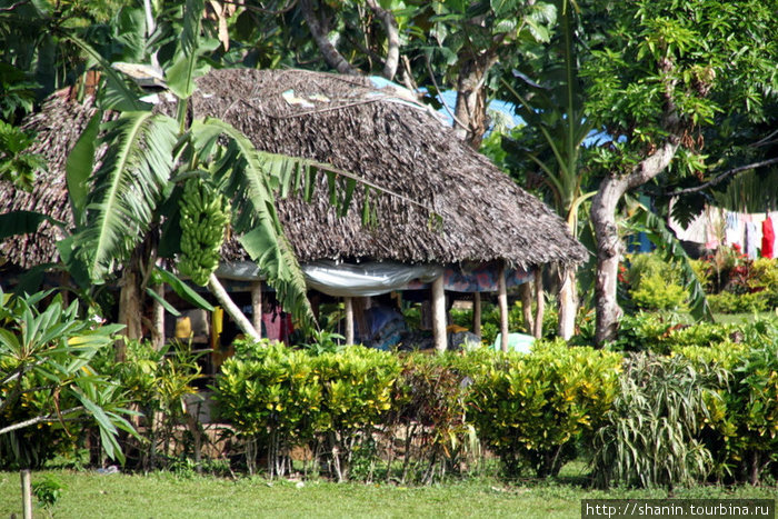 Дом под соломенной крышей Остров Савайи, Самоа