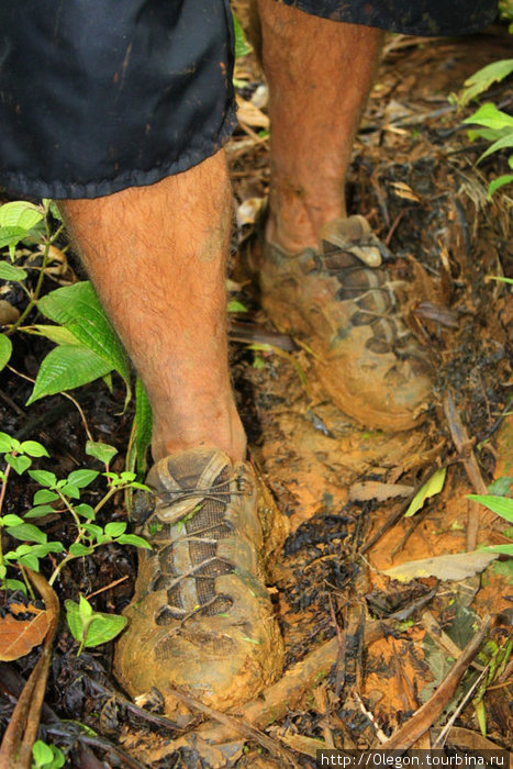 Дорога до озера после дождя была очень скользкая, глину отмывали с кроссовок несколько дней Самоа