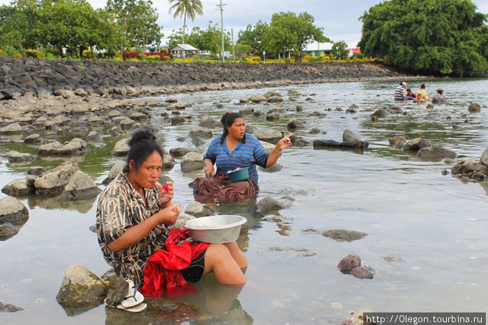 Морепродукты- вещь полезная Самоа