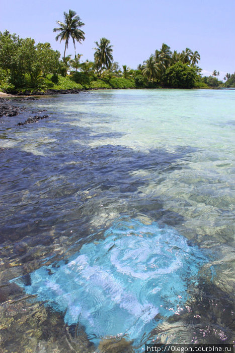 Кто знает что тут под водой? Самоа