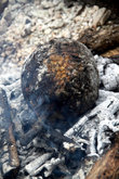 Плод хлебного дерева запекаем в углях как картошку