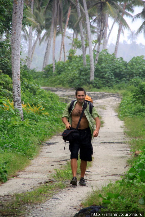 Пешком мимо кокосовых пальм — главное, чтобы кокос на голову не свалился. Мало не покажется! Остров Уполу, Самоа