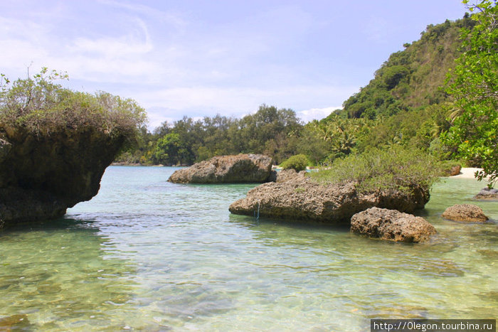 Местами коралловые булыганы, заросшие травой и кустами Остров Эфате, Вануату
