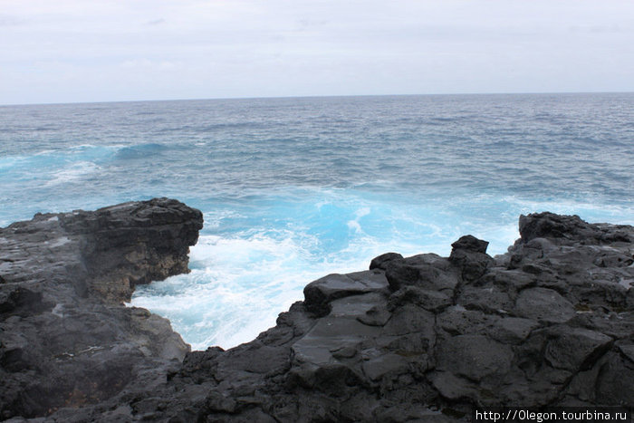 Чёрный и голубой Остров Уполу, Самоа