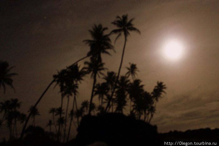 Ночь- луна и пальмы, темнота... Остров Савайи, Самоа