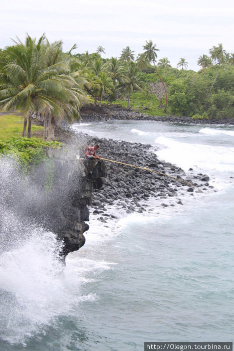 Рыбак из волн вытаскивает рыбу, одну за другой Остров Савайи, Самоа