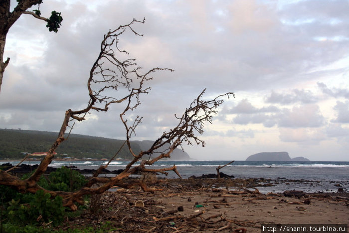 Берег после цунами сильно замусорен Остров Уполу, Самоа