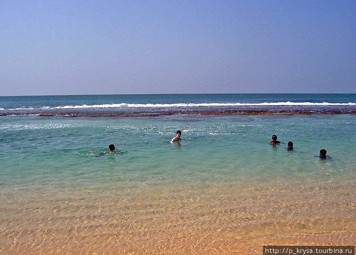 место для купания — волны разбиваются о риф Шри-Ланка