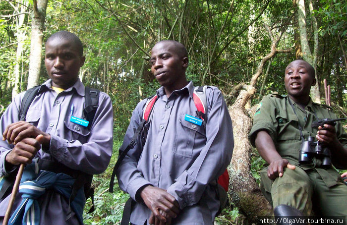 Последние наставления Бвинди Национальный Парк, Уганда