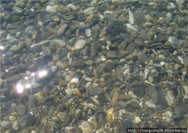 отдых на Черном море в поселке Бетта