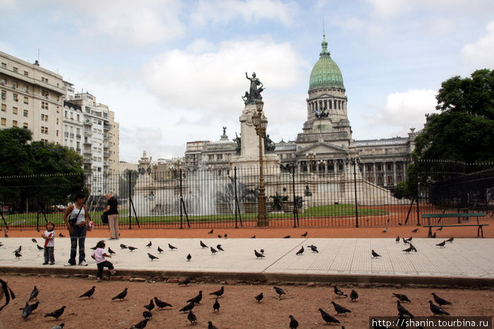Голуби перед зданием Парламента Буэнос-Айрес, Аргентина