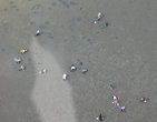 сбор молюсков во время отлива