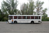 Рано утром от автостанции г. Волгограда на автобусе в 7.05 мы отправились в Камышин.