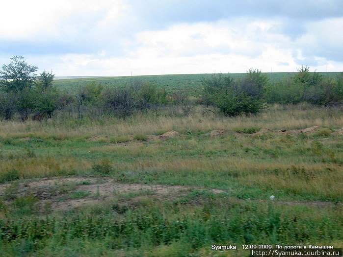 Там, за кустарником — поле камышинских арбузов. Камышин, Россия