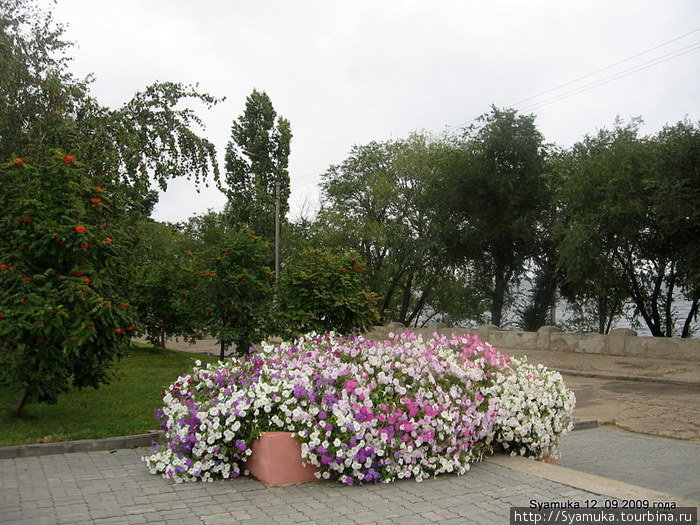 Цветы на набережной. Камышин, Россия
