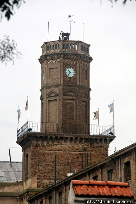 Башня с часами Ведма, Аргентина