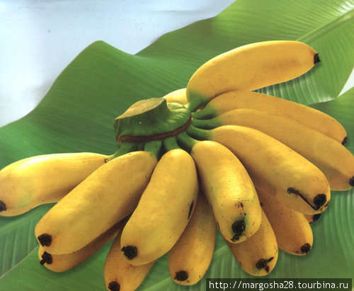 Бананы фингер Египет