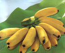Бананы фингер
