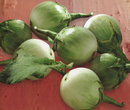 Мини баклажаны зеленые ( brinjal )