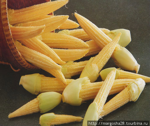 Молодая мини кукуруза ( baby corn ) Египет
