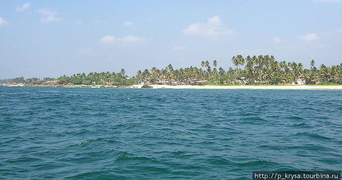 Вид на остров из лодки. Шри-Ланка