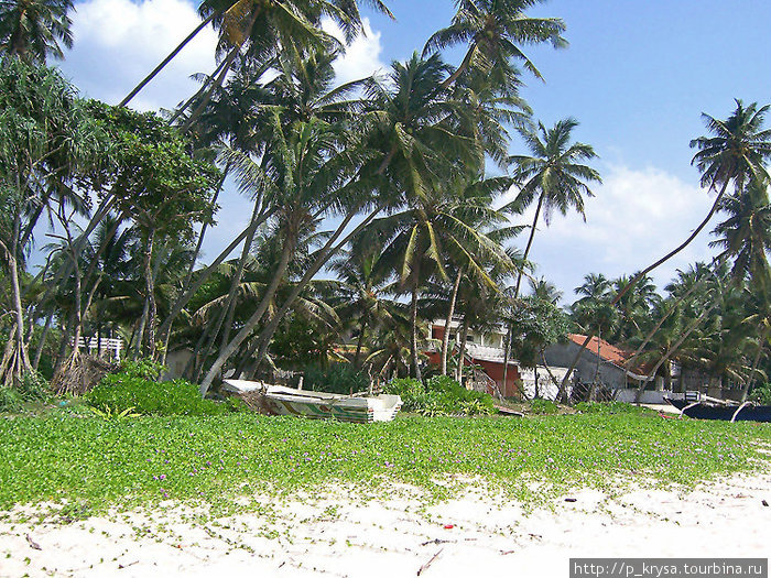 Некоторые жители заново отстроили дома на побережье Амбалангода, Шри-Ланка