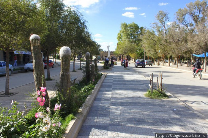Украшение улицы-кактусы Ла-Киака, Аргентина