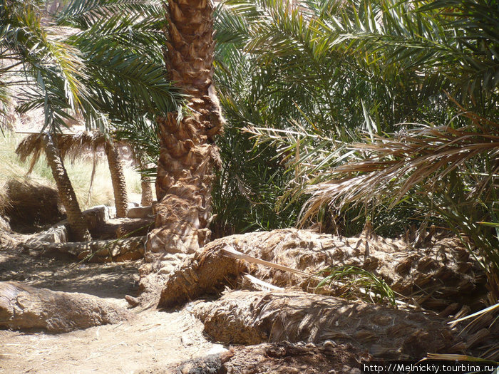 Джип-сафари в Абу-Галум Дахаб, Египет