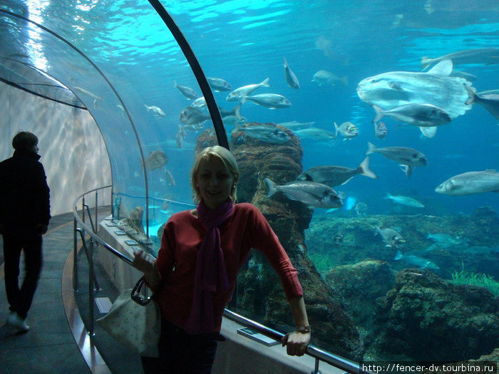 Лучший аквариум Европы Барселона, Испания
