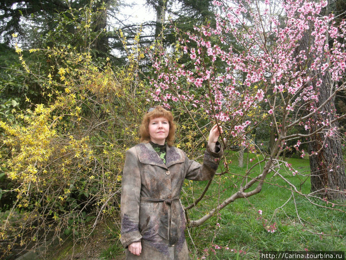 Весна на Северном Кавказе. Сочи, Россия