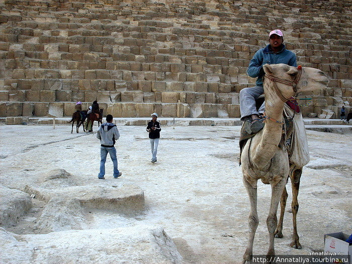 Уже практически рядом с пирамидами нас атаковали владельцы лошадей и верблюдов, хотевшие покатать нас за бакшиш. Гиза, Египет