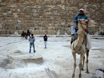 Уже практически рядом с пирамидами нас атаковали владельцы лошадей и верблюдов, хотевшие покатать нас за бакшиш.