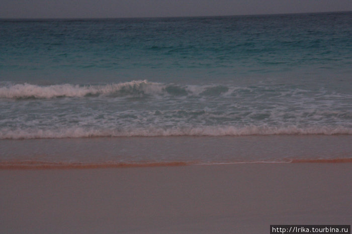 Пляж с розовым песком Барбадос