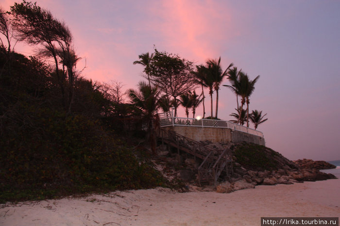 Пляж с розовым песком Барбадос
