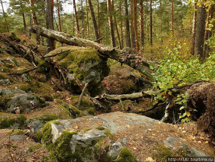 Каменный мир Сызрань, Россия