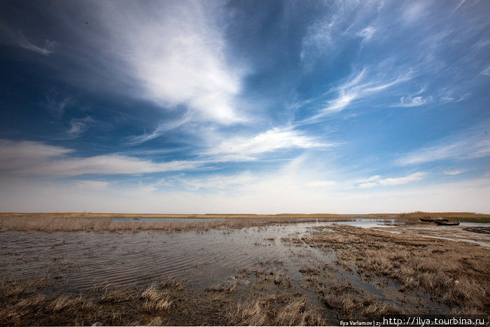 Получается, что сегодня обмелевшее озеро скорее всего можно целиком пройди вброд. Нукус, Узбекистан