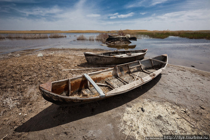 Четвёртый день. Аральское море Нукус, Узбекистан