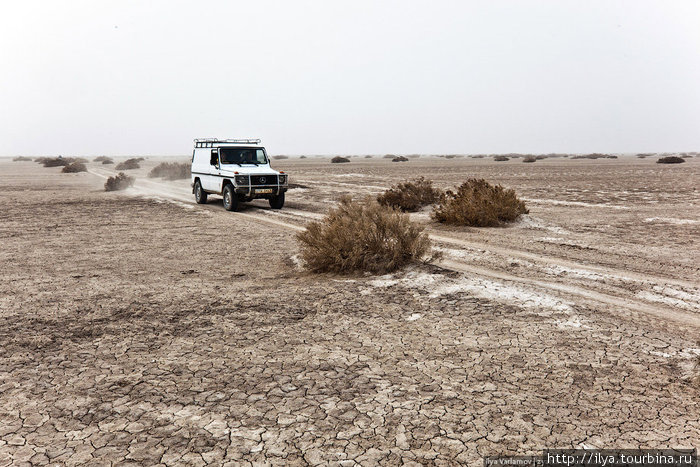 Сейчас территория Восточного Арала – сухое дно, покрытое солью. Западный Арал еще жив. Республика Каракалпакстан, Узбекистан