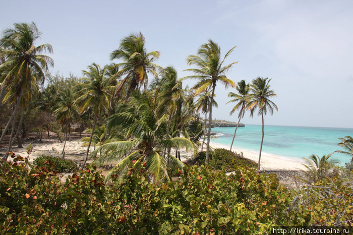 Пляж Сэма Лорда Округ Сент-Филип, Барбадос