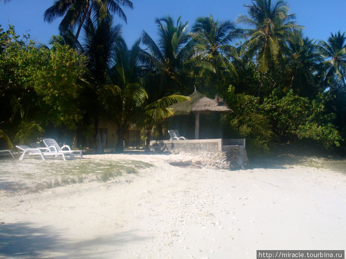 райское наслаждение) Мальдивские острова