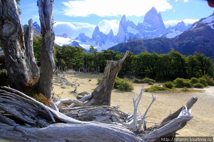 Сказочный лес Лос-Гласьярес Национальный парк, Аргентина