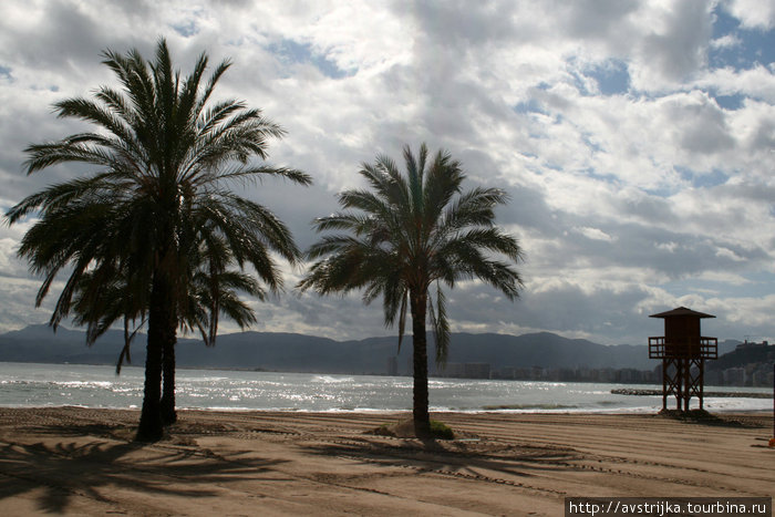 Цветущий пляж Куйера, Испания
