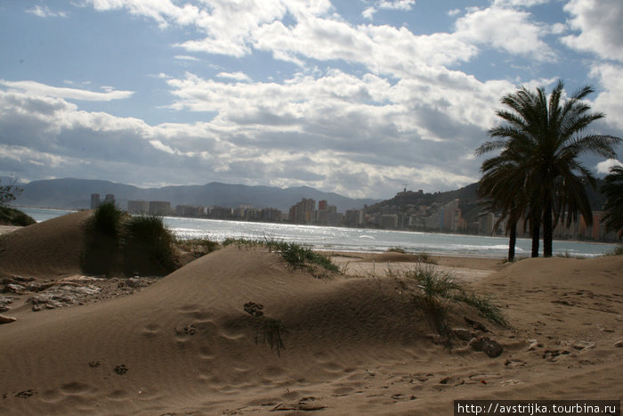 Цветущий пляж Куйера, Испания