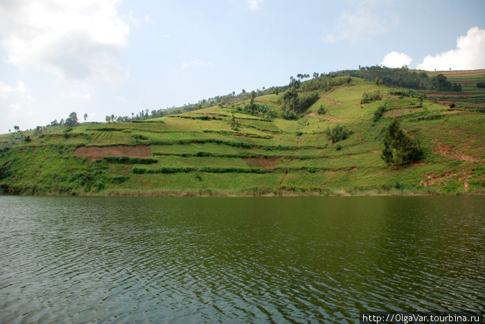Озеро Буньони — место маленьких птиц Озеро Буниони, Уганда
