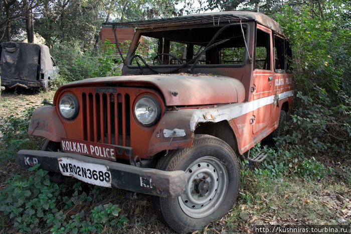 Полиция забыла свой автомобиль в кустах. Калькутта, Индия
