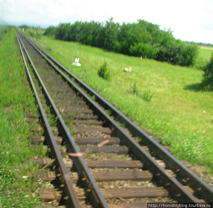 Рельсы для поездов с разной шириной колеи. Украина
