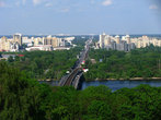 Киев известен тем, что это очень зелёный город. Действительно, деревьев здесь невероятно много.