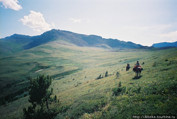 Конные путешествия .... или куда приводят мечты! Республика Алтай, Россия