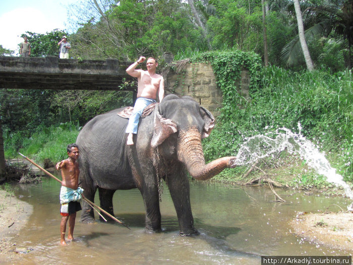 Моя Шри-Ланка Негомбо, Шри-Ланка