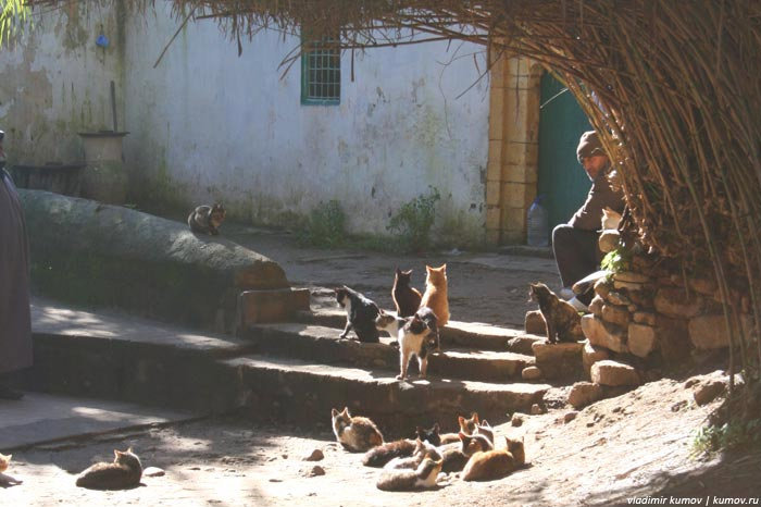 Королевский Рабат Рабат, Марокко